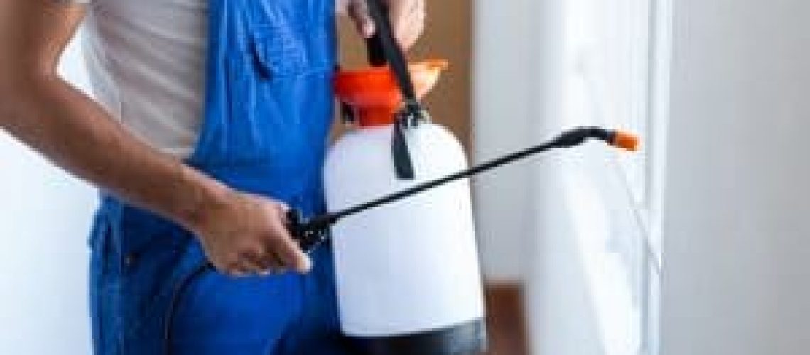 midsection-pest-control-worker-with-sprayer-300x200.jpg
